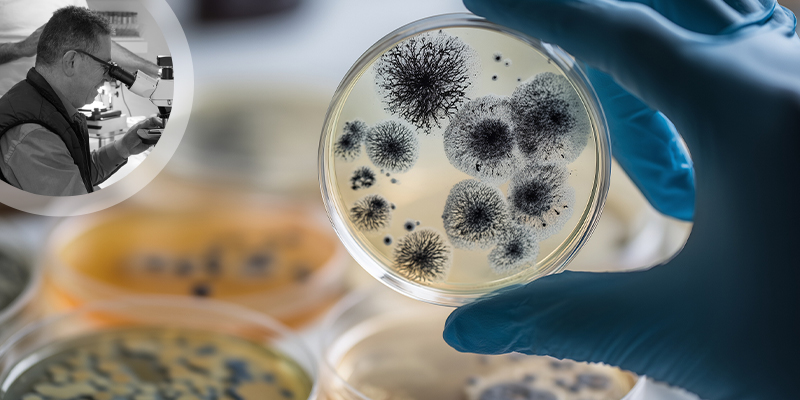 Expertise transversale du bâti : rencontre avec Philippe Martin